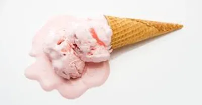 Illustration mush - Image 2