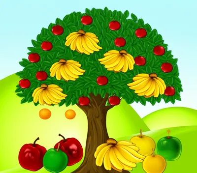 Illustration lexical - Image 1