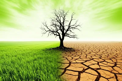 Illustration scathe - Image 1