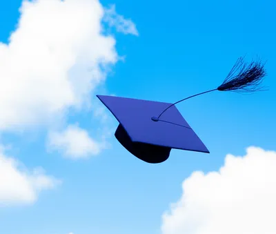 Illustration finishing - Image 1