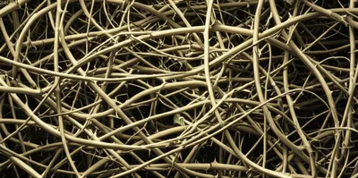 Illustration knot - Image 1