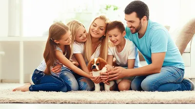 Illustration adopts - Image 1