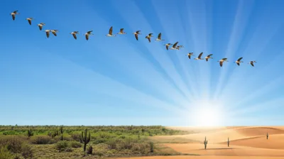 Illustration southerly - Image 1