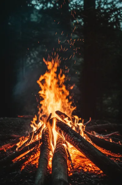 Illustration burns - Image 1