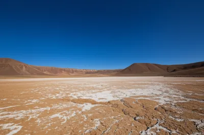 Illustration pans - Image 1