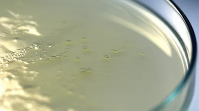 Illustration chewed - Image 1