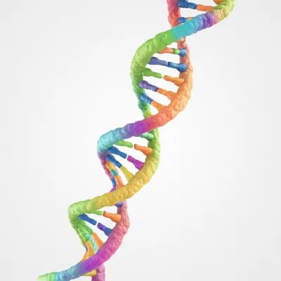 Illustration spiral - Image 1