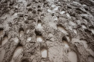 Illustration stamped - Image 1