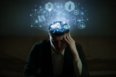 Illustration fink - Image 1