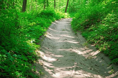 Illustration treads - Image 1