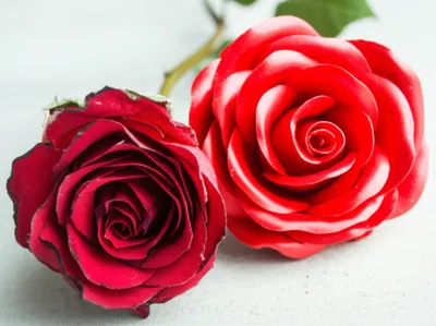 Illustration plastic - Image 1