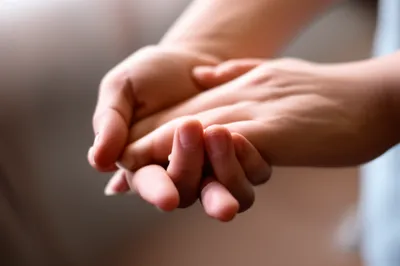 Illustration natural - Image 1