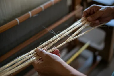 Illustration throws - Image 1