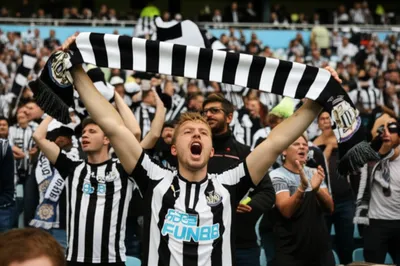 Illustration magpies - Image 1