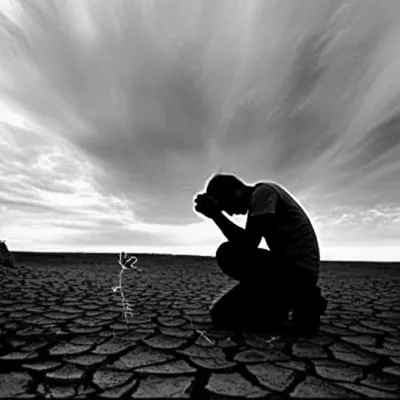 Illustration apologies - Image 1