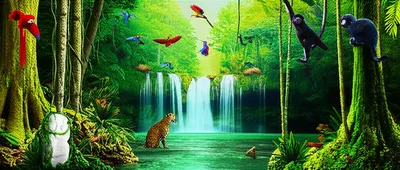 Illustration conserves