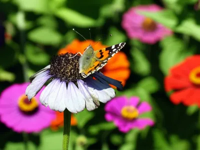 Illustration unreactive - Image 1