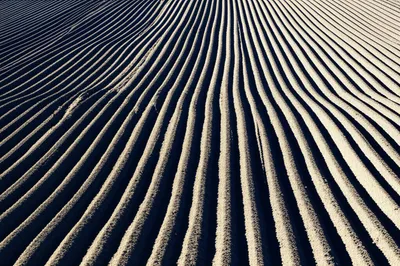 Illustration plow - Image 1