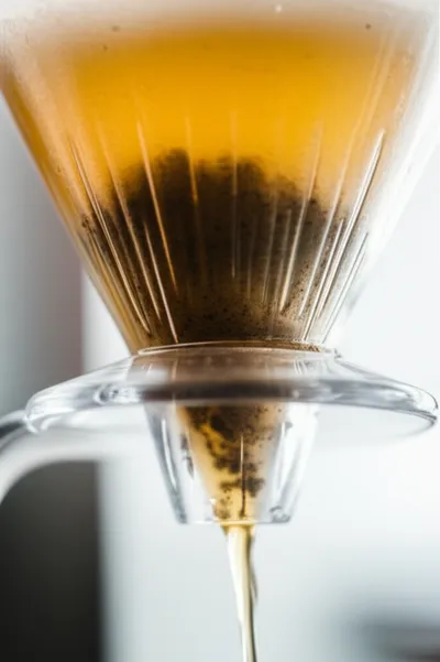 Illustration fines - Image 1