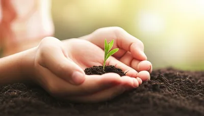 Illustration cradle - Image 1