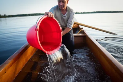 Illustration bale - Image 1