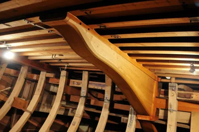 Illustration spurs - Image 1