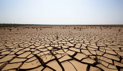 Illustration wastes - Image 1