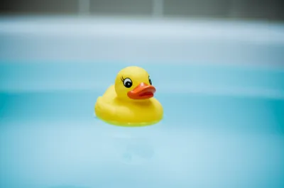 Hình ảnh minh họa flotation - Ảnh 1