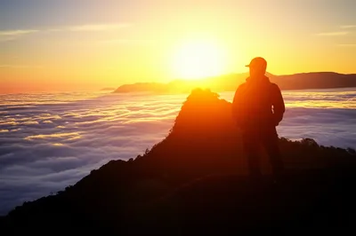 Illustration elevated - Image 1