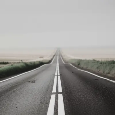 Illustration protracting