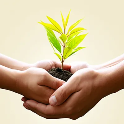 Illustration common - Image 1