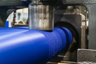 Illustration beetles - Image 1