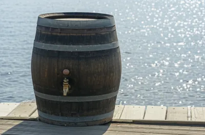 Illustration tambour - Image 1