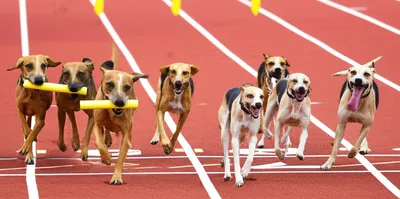 Illustration relays - Image 1