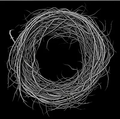 Illustration wreath - Image 1