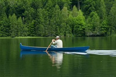 Illustration skiffs - Image 1