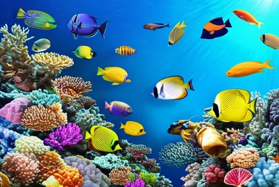 Illustration denizens - Image 1