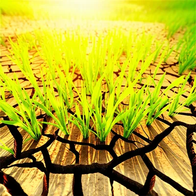 Illustration healing - Image 1