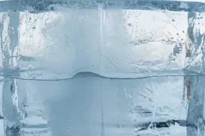 Illustration vitreous - Image 1