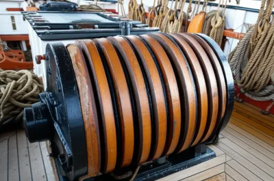 Illustration whelps - Image 1