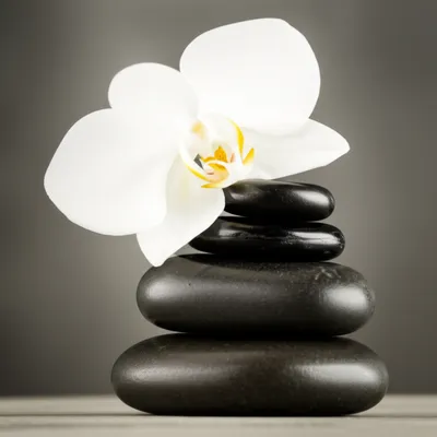 Illustration air - Image 1