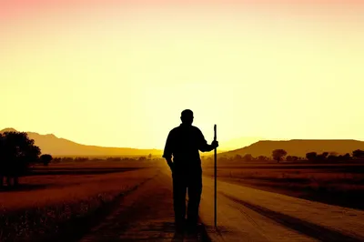 Illustration rove - Image 1