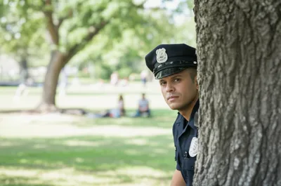 Hình ảnh minh họa obs - Ảnh 1