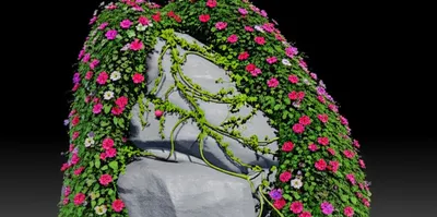 Illustration adorned - Image 2