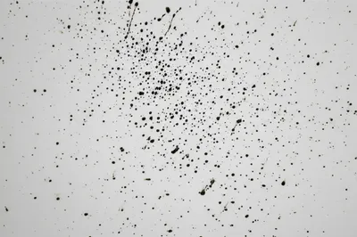 Illustration mess - Image 1