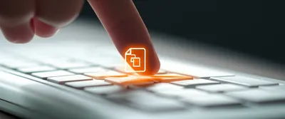 Illustration rebinding - Image 1