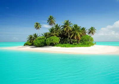 Illustration holmes - Image 1