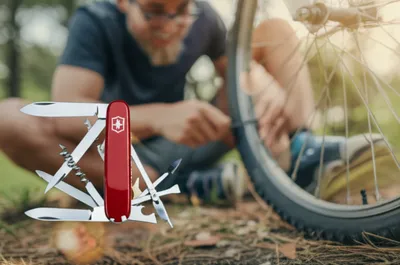 Illustration bf - Image 1