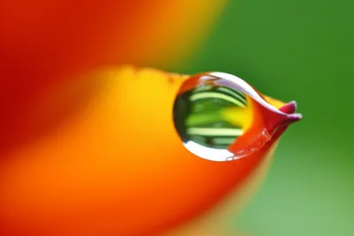 Illustration glinted - Image 1