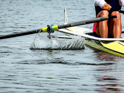 Illustration sliced - Image 1